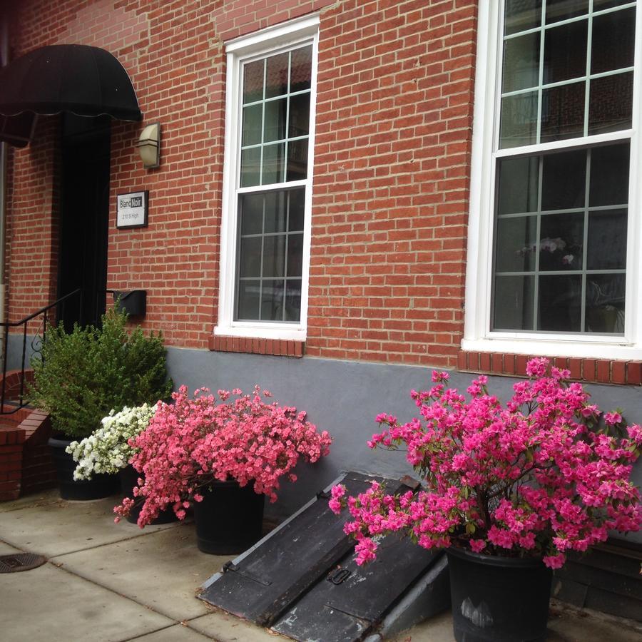 Blancnoir Bed & Breakfast Baltimore Luaran gambar